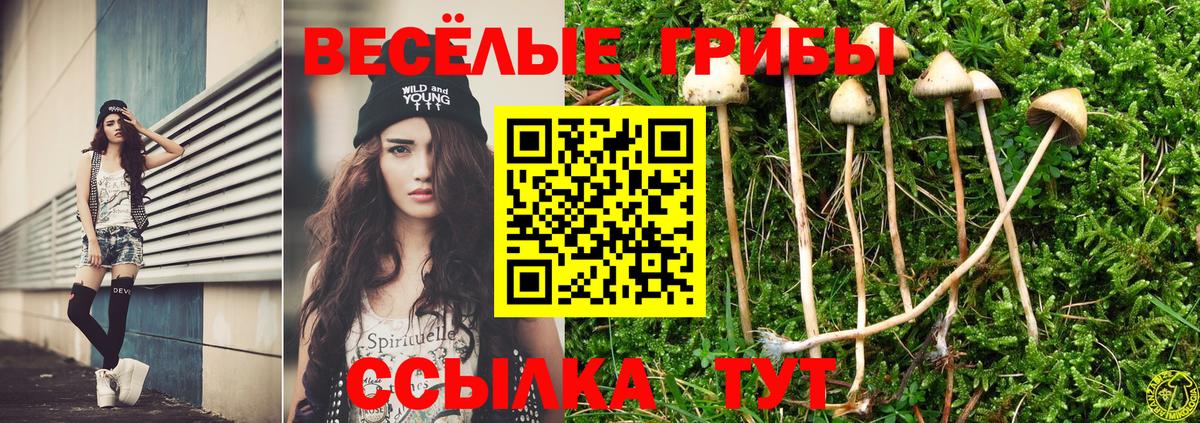 Псилоцибиновые грибы мухоморы  Вход с VPN  Галлюциногенные грибы Cubensis  Кирово-Чепецк 